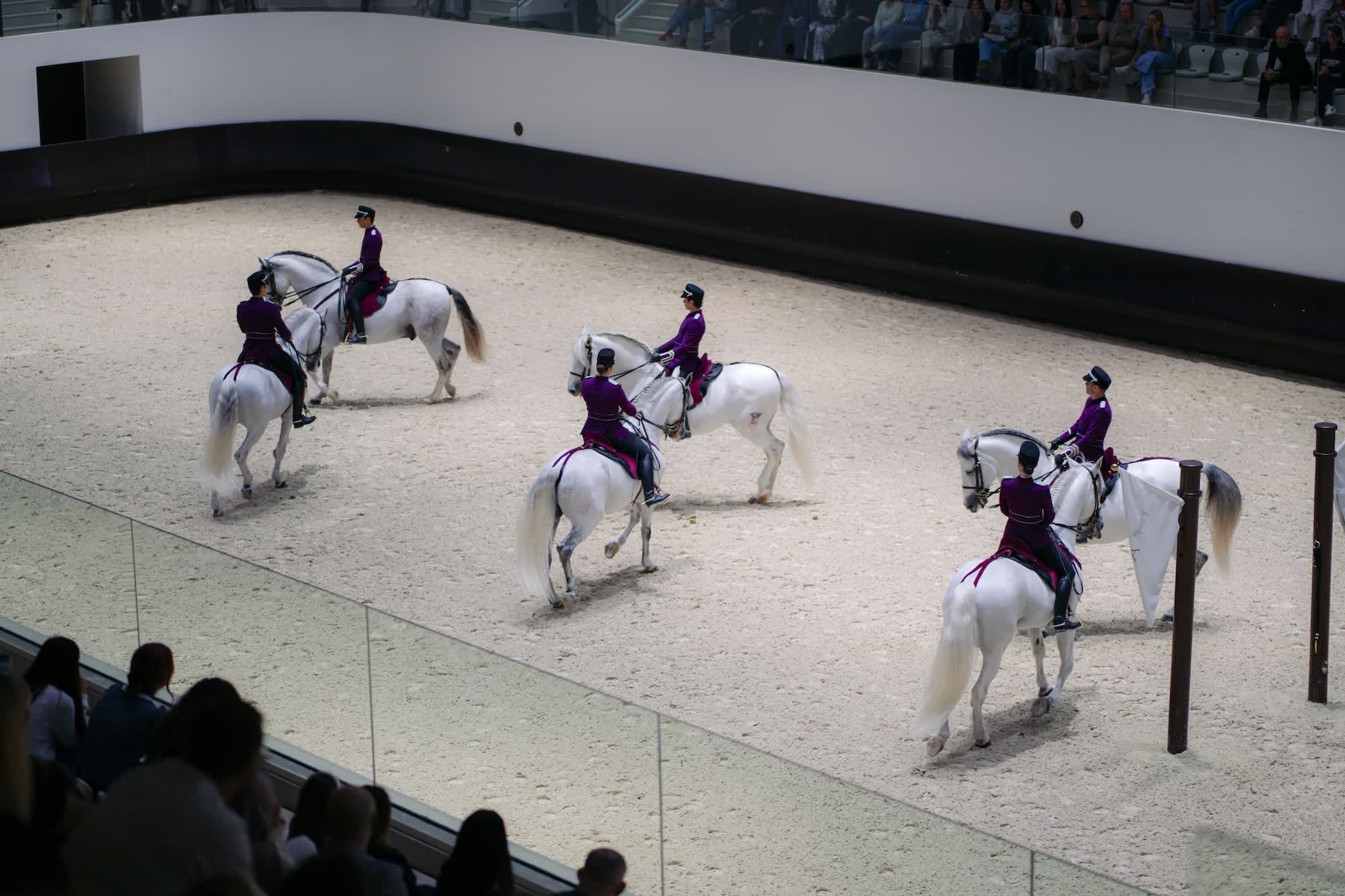 ADREA equestrian performance